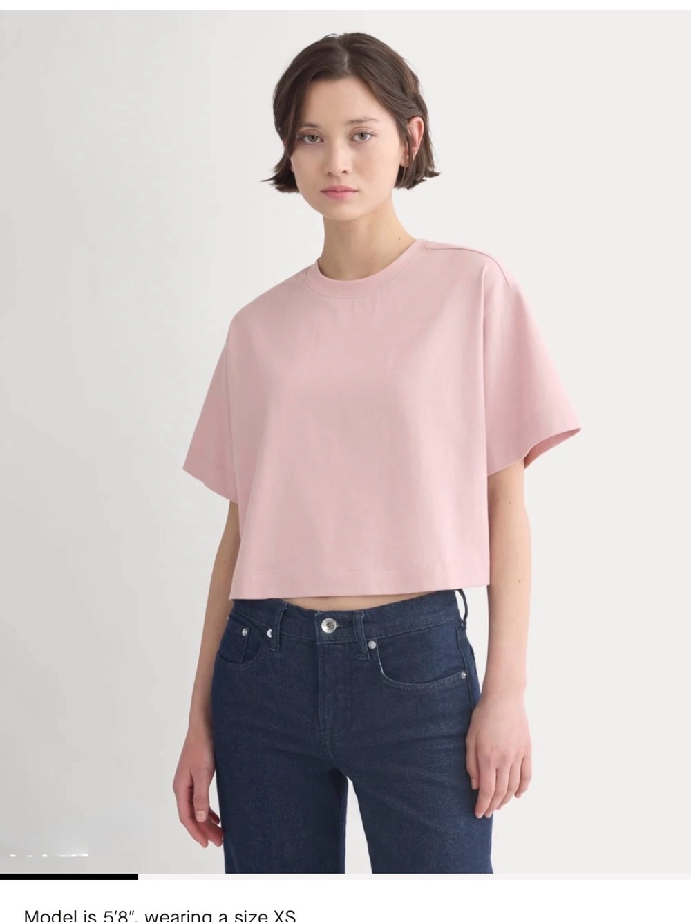 NWT Everlane WOMEN’S BURNISHED LILAC Boxy Crop Tee - SIZE L